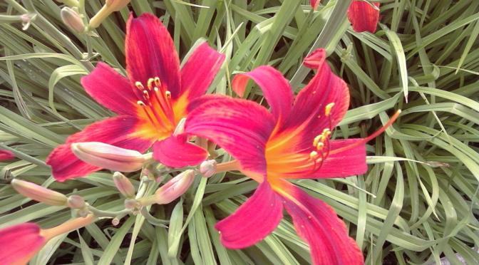 The Power of the Holy People